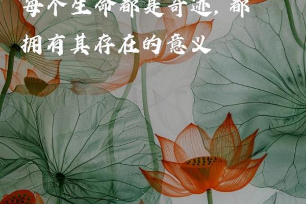 如何探寻自己的命与人生的真谛？