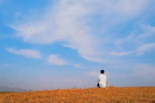 1980年男猴子命运解析：猴年的独特气质与人生轨迹