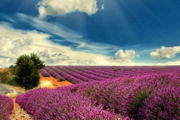 火命如何提升运势？不带水的最佳搭档解析！