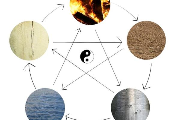 2020年腊月生肖命理解析:揭示你的性格与命运之谜 2020年腊月生肖命理解析:揭示你的性格与命运之谜