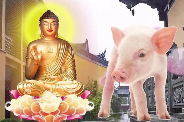 1995年属猪人的命格解析与人生智慧 1995年属猪人的命格解析与人生智慧