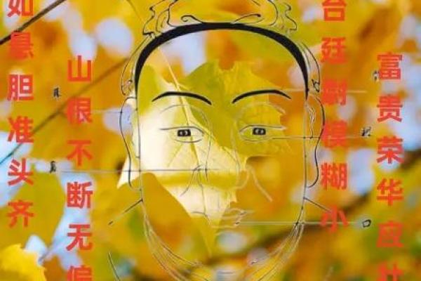 面相解析：哪些面相的男人注定富贵荣华？