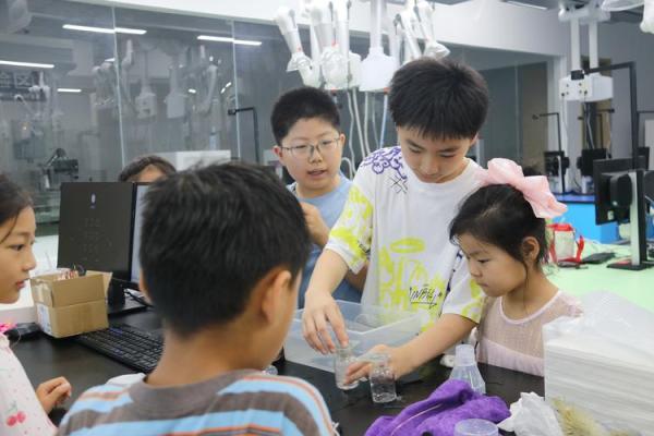 命格解析：为何命中注定没有儿子？探秘背后奥秘！