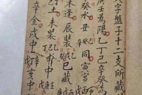 龙年出生的命格分析与人生智慧探讨