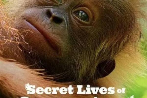 频繁搬家命里缺什么？揭示生活中的秘密与转机