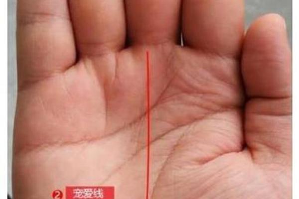 路旁土命与之相生的深厚联系与生活启示