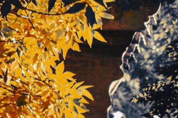 2007年2月：命运的转折与人生的选择