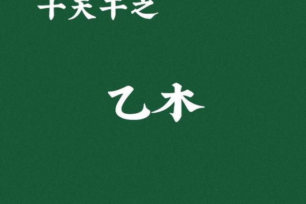 命理中的白衣：象征与解读