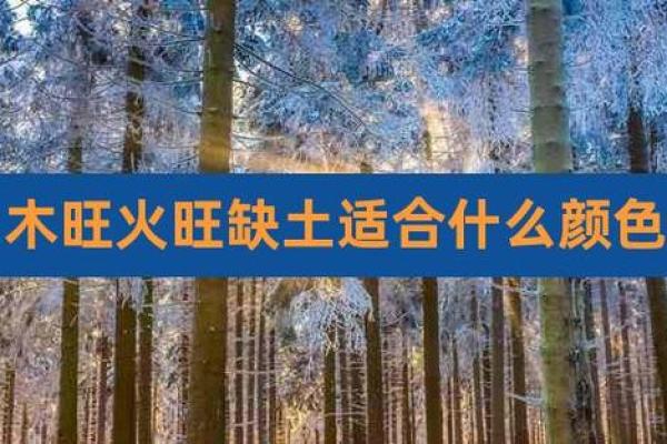 什么颜色最旺木命人？揭秘木命人的色彩秘诀！