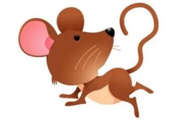 1948年属鼠的命运与人生启示：如何把握机会创造辉煌人生