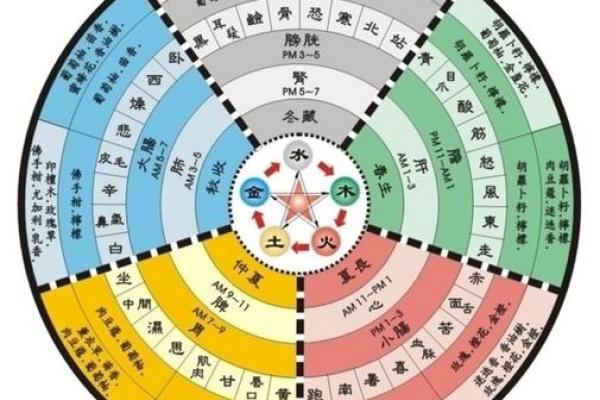 生肖水命解析：在水的波澜中寻找命运的引导