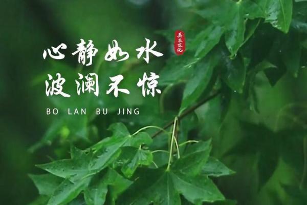 生肖水命解析：在水的波澜中寻找命运的引导