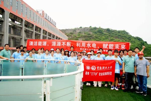 探寻乙未年木命的奥秘：生活中的智慧和能量