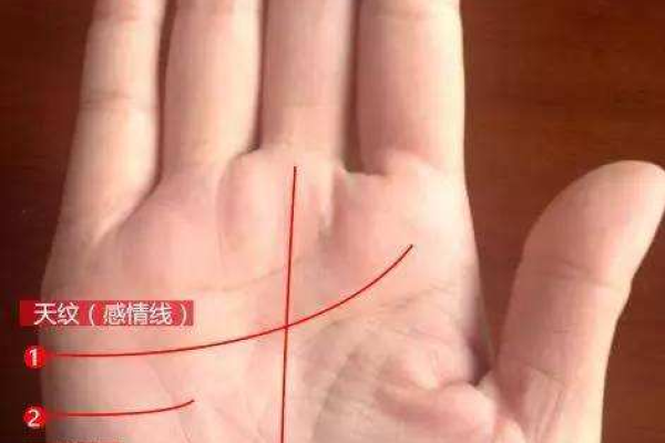 探索女人的手相：旺夫命的秘密揭晓！