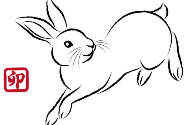 1992年属猴人的命运与生活哲学探讨