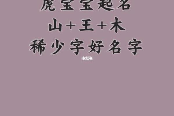 虎年女孩命名：赋予独特魅力与幸福的名字选择