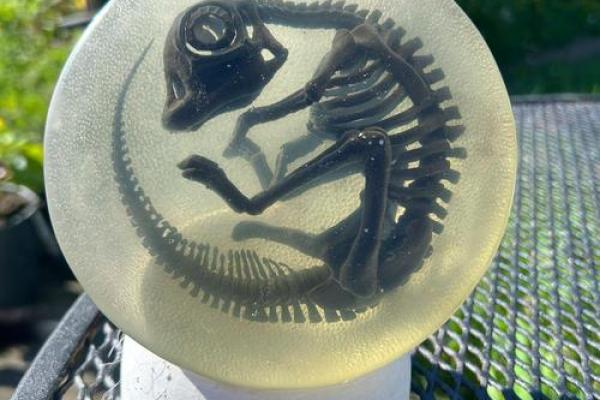 1969年卦命解读：探索命运的神秘符号与人生智慧