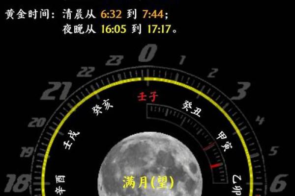 庚戌月生人，命运与性格的深刻解析