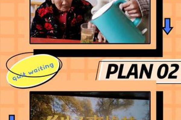 牛年女孩命里缺什么？深度解析与幸福指引