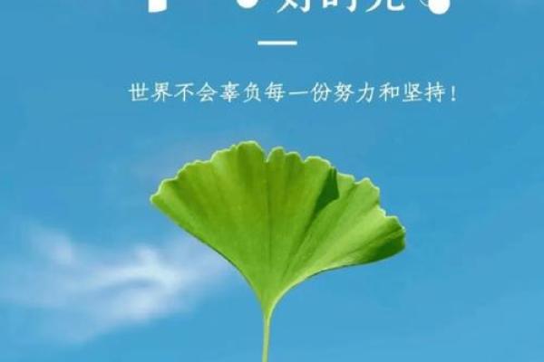 探寻己酉丁巳命格的奥秘：人生能量与命运轨迹的结合