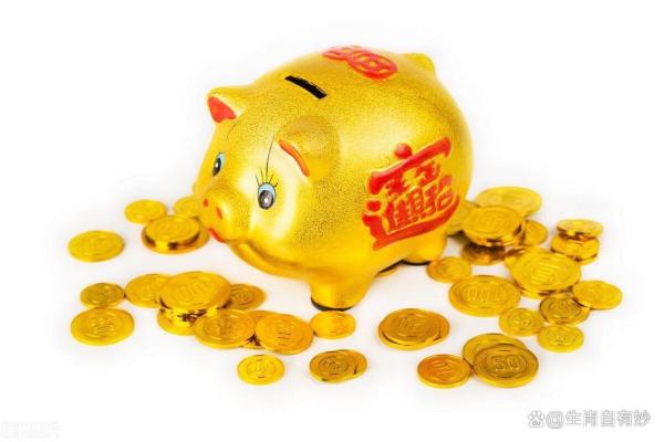 2023年属猪人的运势分析与生活指南