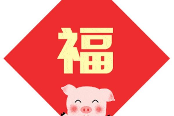 2023年属猪人的运势分析与生活指南