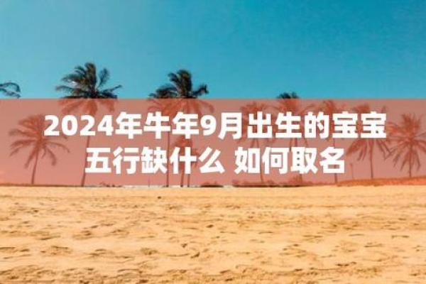 午时出生的猪：探秘五行命理与性格魅力