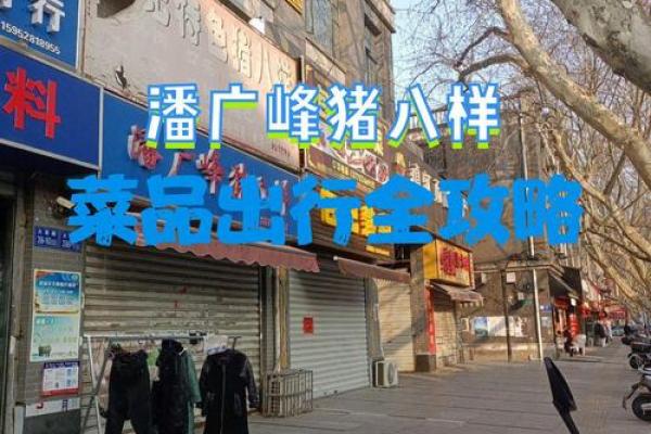 午时出生的猪：探秘五行命理与性格魅力