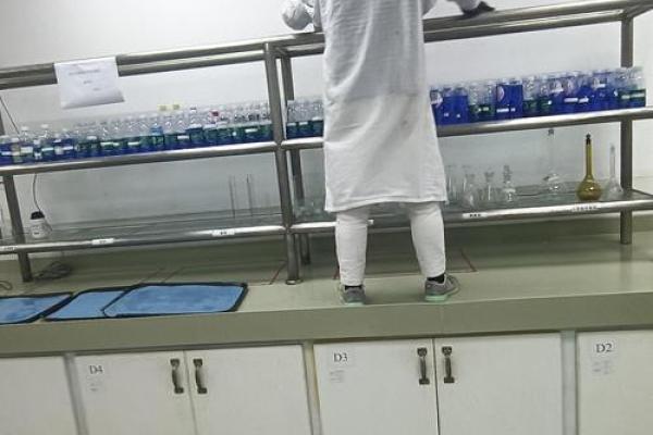 2013年蛇男孩命运解析：如何把握人生转机，走向辉煌未来