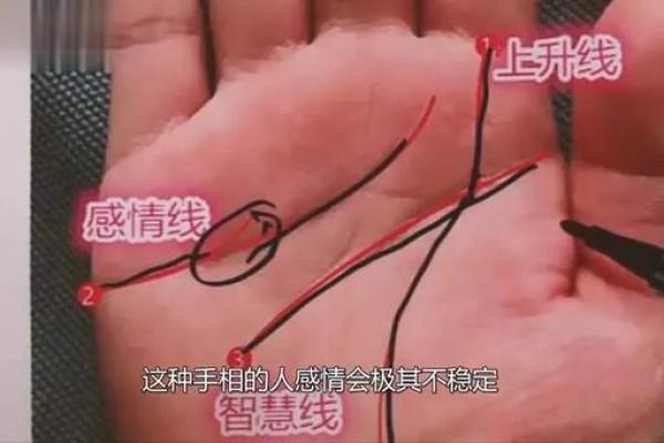 揭秘单身发财的命格：如何借助命理实现财富与自由