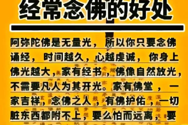 探寻生命的真谛:从十三条命中领悟人生智慧 探寻生命的真谛:从十三条命中领悟人生智慧