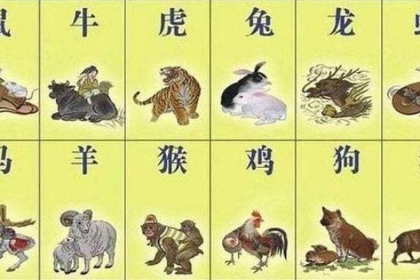 普京的命运与生肖：探寻领导者的内在奥秘