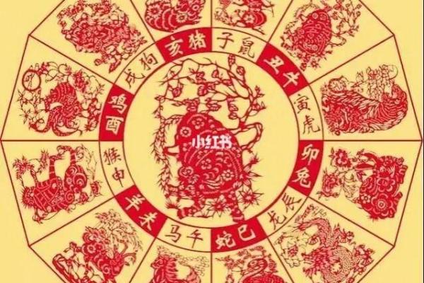 2019年猪年出生的人的命运与性格解析