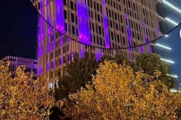 火命羊：在职场中如何找到最适合自己的行业