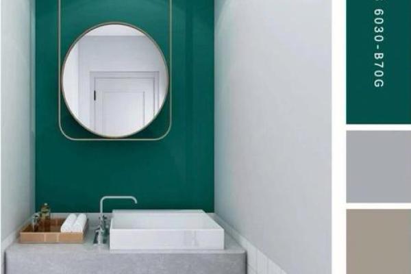 水命者的居家色彩：如何选择最适合的家居颜色