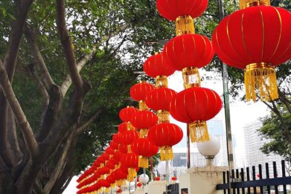 灵魂出窍的人命运揭秘：神秘体验与内在转变的探讨