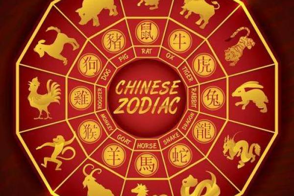 2086年：狗的命运与命理探秘