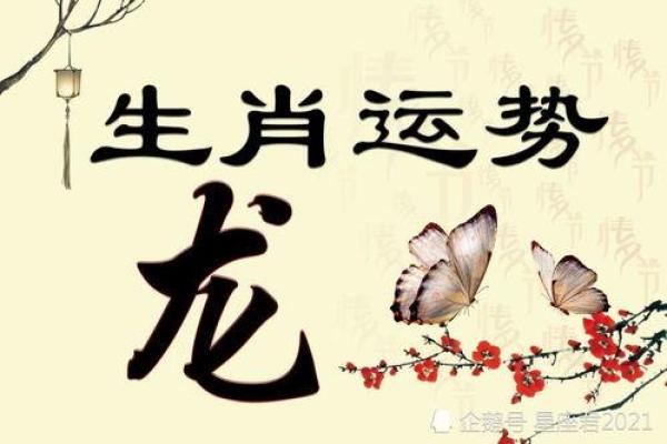 1990年属龙人的命理与人生运势解析