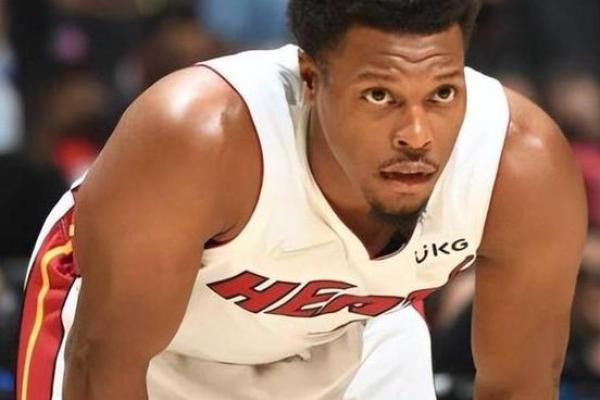 1981属鸡之命运：探寻火鸡的辉煌之路与人生智慧