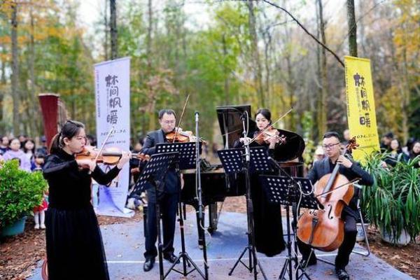 咖啡续命音乐：当音符与咖啡相遇的奇妙体验