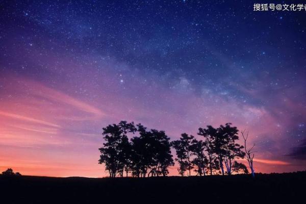 脚指细长的命运：探秘其独特的生命轨迹与性格特征