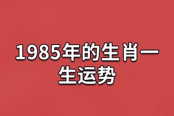 91年腊月的命运与运势揭秘，探索人生方向与运程变化！
