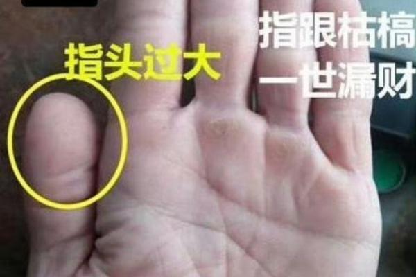男人双断掌的命运与性格解析:从手相看人生轨迹 男人双断掌的命运与性格解析:从手相看人生轨迹