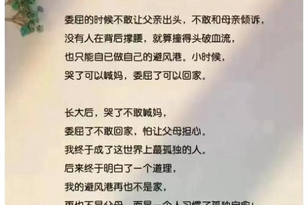 喜欢做饭的女人：她们的命运与幸福的秘密