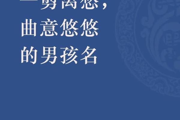 未时出生的男孩，命理透视与未来发展