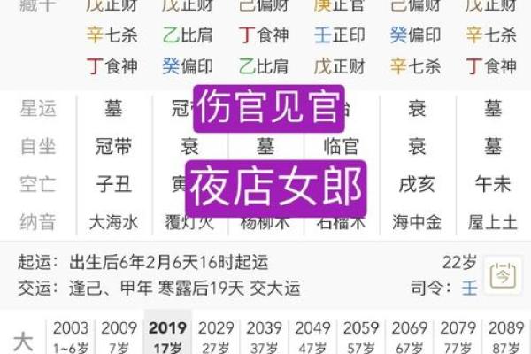 癸未月命理解析：如何利用命理提升个人运势与生活质量