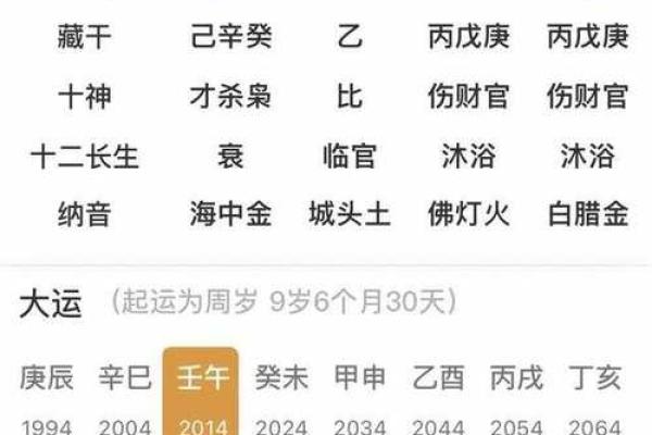癸未月命理解析：如何利用命理提升个人运势与生活质量