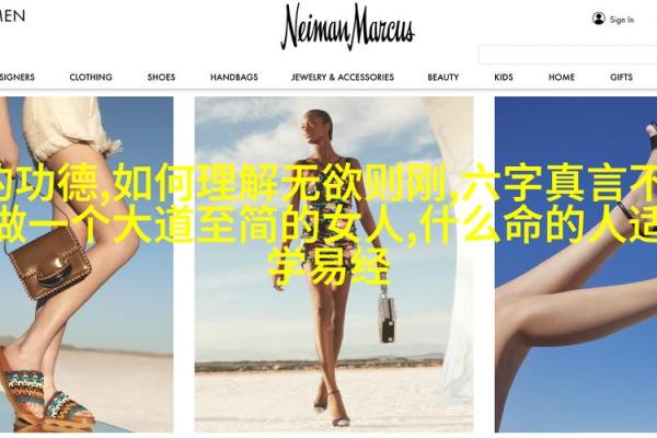 追寻六零年老鼠命运的奥秘与启示