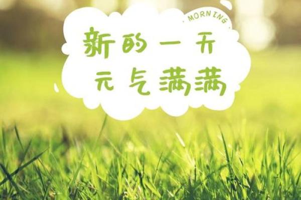 属鸡的21岁：迈向人生新阶段的幸运与挑战