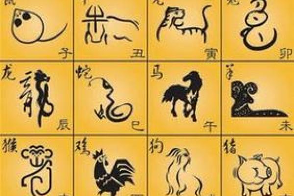 揭秘七七年属相：探索这一年出生的人的命运与性格特征